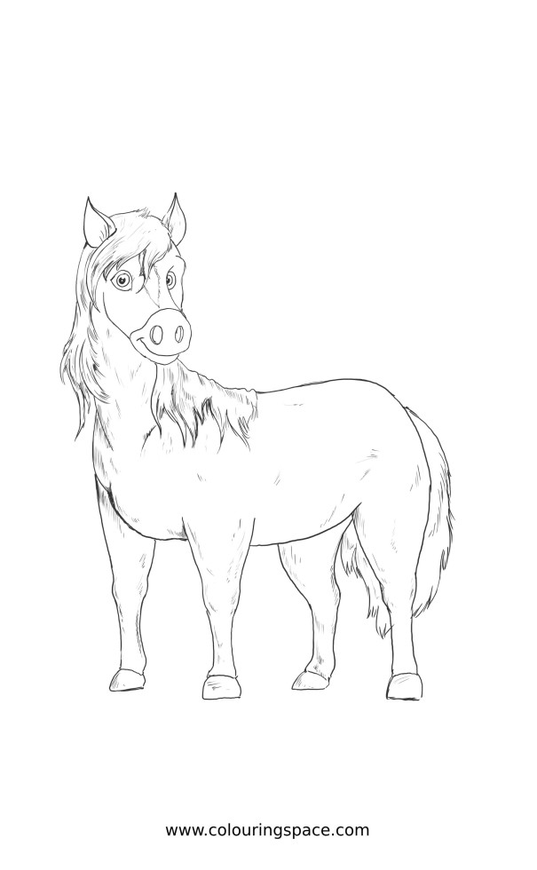 Thumbnail of Cartoon Cute Horse Animals Image