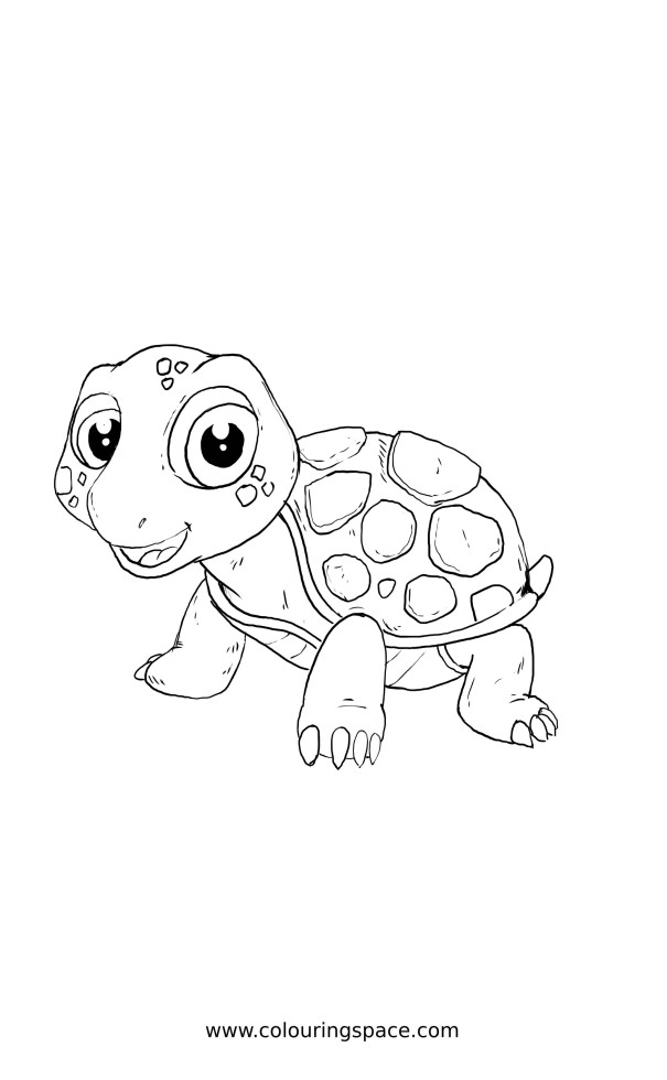 Thumbnail of Kawaii Little Turtle Character Coloring Image